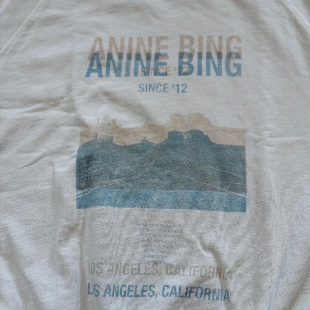 Anine Bing Arlo Desert Road Sweatshirt - Picture 6 of 8